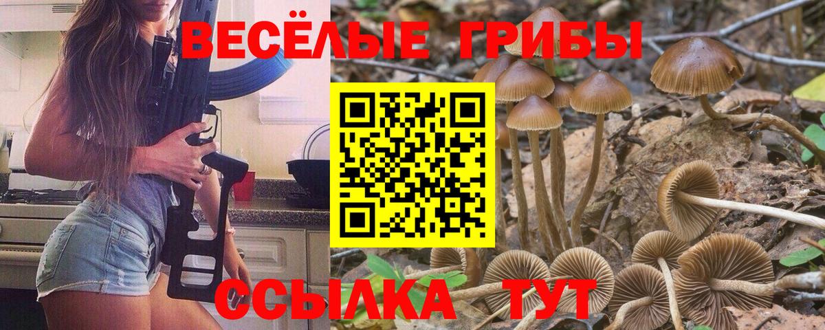 Галлюциногенные грибы Psilocybe  Галлюциногенные грибы Psilocybe  Вход с VPN  Феодосия 